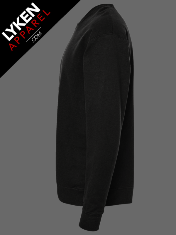 IMG_1396.png Black Premium Sweatshirt | Customizable